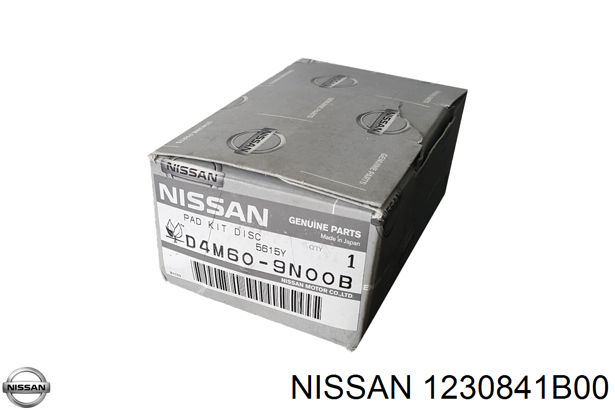 1230841B00 Nissan