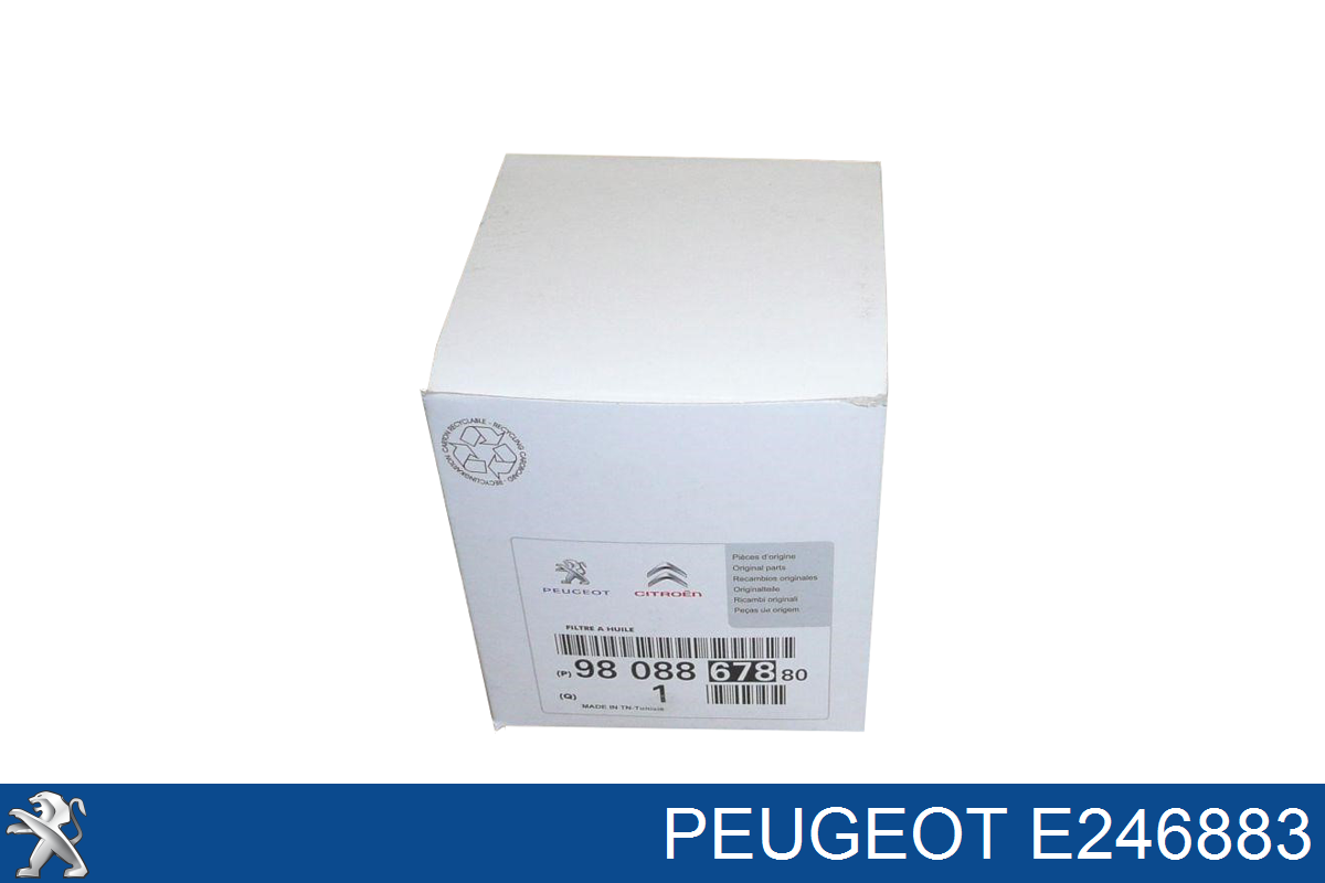 E246883 Peugeot/Citroen